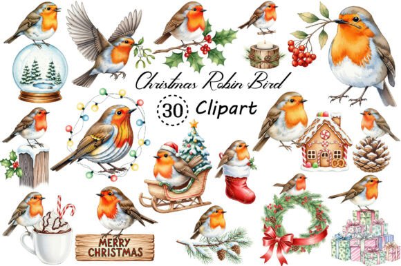 Christmas Robin Bird PNG Clipart: A Practical Review for Digital Sellers and Illustrations
